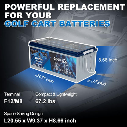 WEIZE 36V 105AH LiFePO4 Bluetooth Battery, 200A BMS, Deep Cycle – BAC-0125VWEI