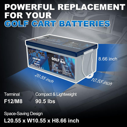 WEIZE 48V 105Ah LiFePO4 Battery w/ Bluetooth & BMS - BAC-0126VWEI